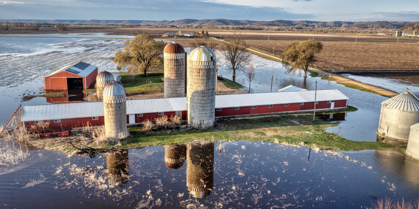 Azienda agricola colpita da alluvione - polizza catastrofale obbligatoria aziende